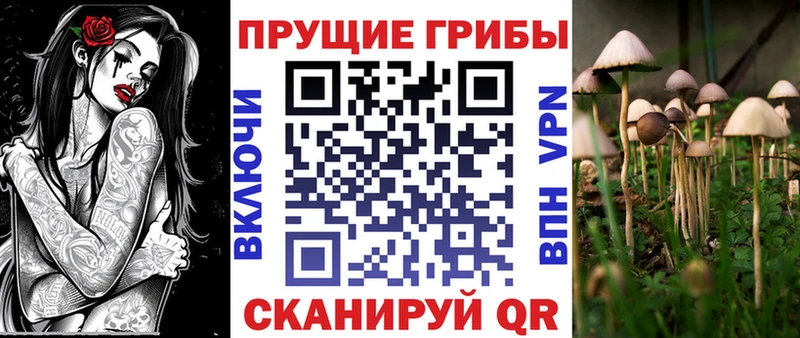 Псилоцибиновые грибы мицелий  Купить где  Катайск 